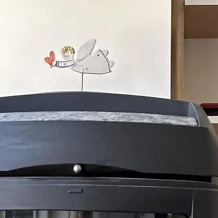 Beautiful With A Terrace Апартаменты *