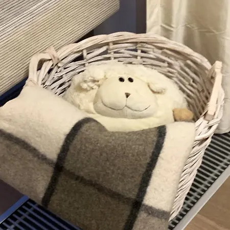 Beautiful With A Terrace Apartment