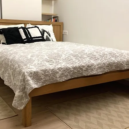 Beautiful With A Terrace 公寓 维尔纽斯