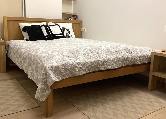 Beautiful With A Terrace 公寓 维尔纽斯