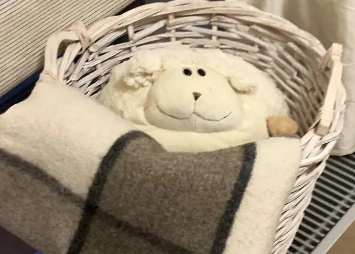 Beautiful With A Terrace 아파트